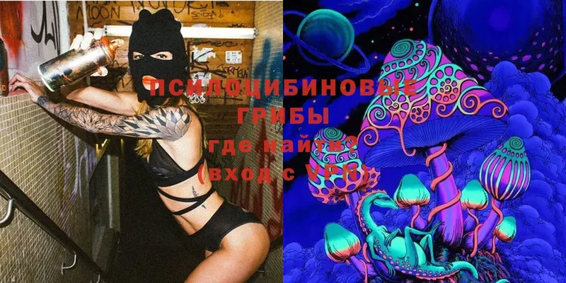 Галлюциногенные грибы MAGIC MUSHROOMS Канаш